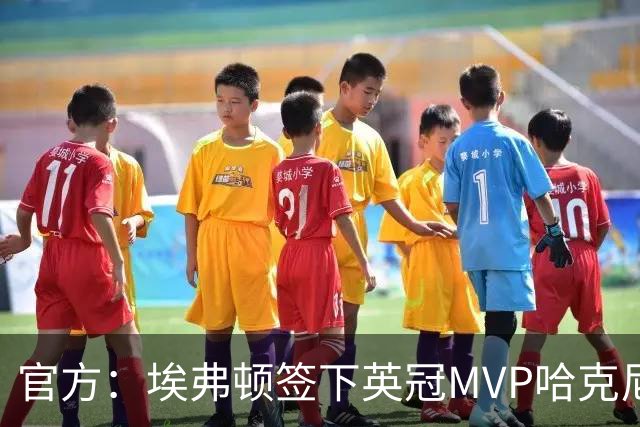 官方：埃弗顿签下英冠MVP哈克尼，据悉费用2450万英镑，签约5年